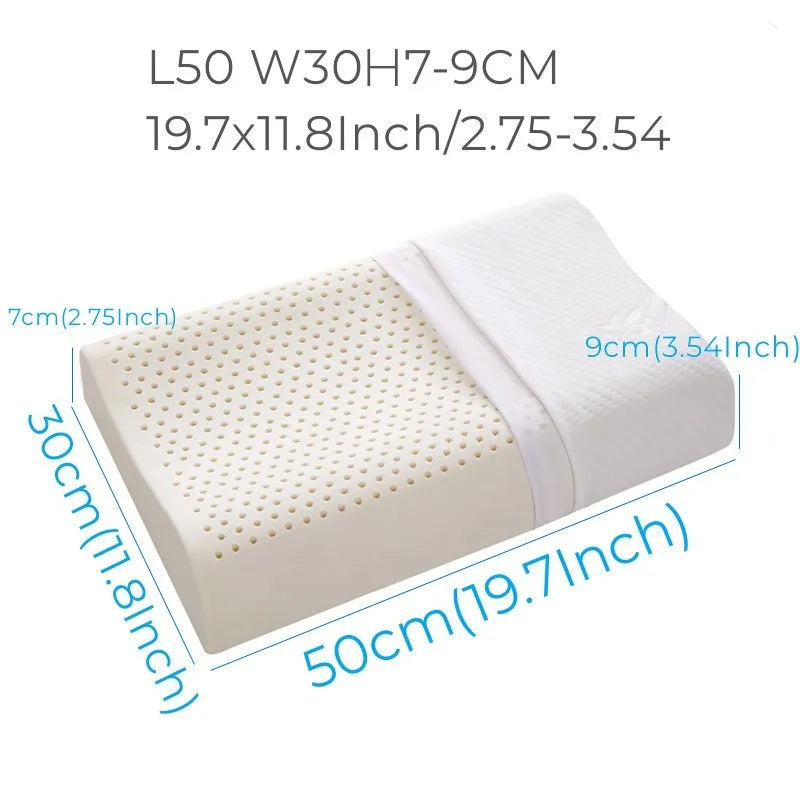 Compact 50×30 cm — smooth perforated surface (Type A)