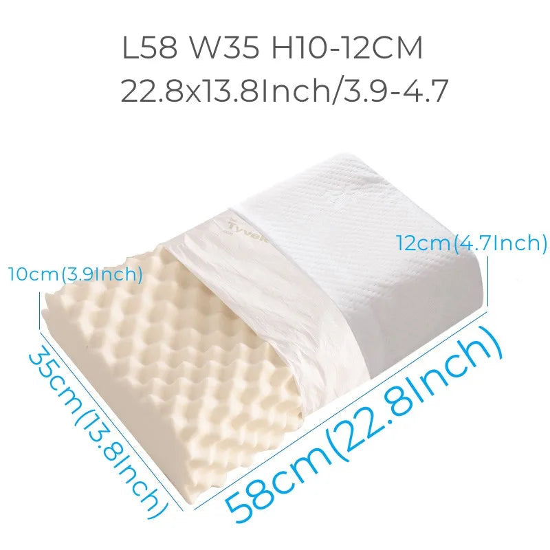 Large 58×35 cm — egg-crate massage surface