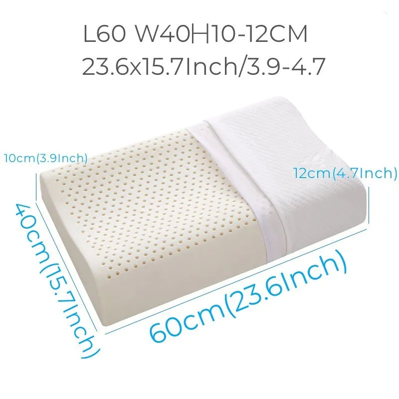 Queen 60×40 cm — smooth perforated surface (Type A)