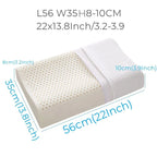 Standard 56×35 cm — smooth perforated surface (Type A)